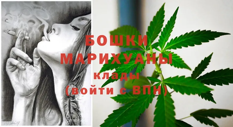 дарк нет как зайти  Красноармейск  Конопля OG Kush 